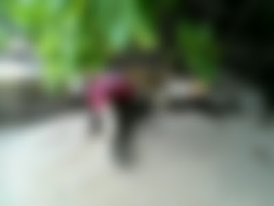 Tiga Mayat Kembali Ditemukan Terdampar di Lagoi Kepri