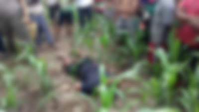 Warga Desa Tolokalo Ditemukan Tewas Mengenaskan di Lokasi Kebun Jagung