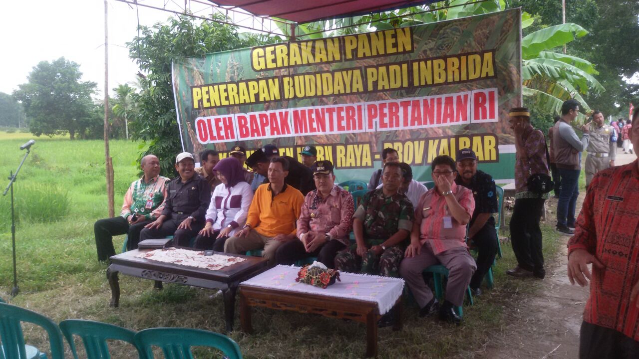 Menteri Pertanian Panen raya 325Ha di Kabupaten kubu raya