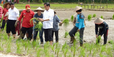 Kinerja Jokowi Urus Pertanian Tak Sesuai Dengan Janji Kampanye