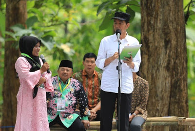 Kinerja Jokowi Urus Kehutanan