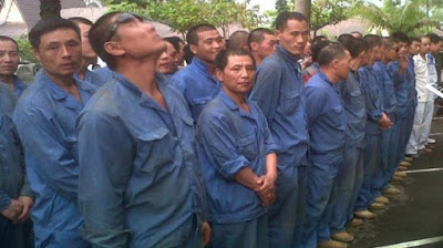 Rofi Munawar Sesalkan Jokowi Keluarkan Perpres 20 Kemudahan Tenaga Kerja Asing