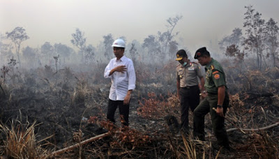 Begini Alasan Jokowi Divonis Melawan Hukum Terkait Kebakaran Hutan dan Lahan