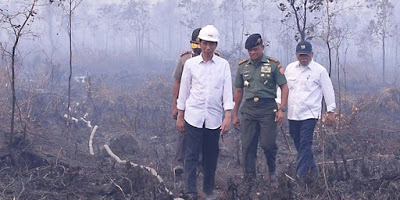 Terkait Gugatan Perdata Kebakaran Hutan dan Lahan, Jokowi  Divonis Melanggar Hukum