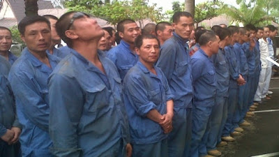 Kubu 02 Bentuk  Satgas Pencegahan dan Pengawas Pemilu 2019, Antisipasi Cegah WNA Masuk TPS
