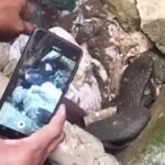 Anak Berusia 6 Tahun Diduga Dibunuh Oleh Teman Mainnya Sendiri